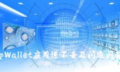 如何解决tpWallet应用进不去及闪退问题：详细指南