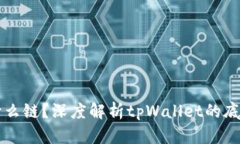 tpWallet转账是什么链？深度解析tpWallet的底层技术