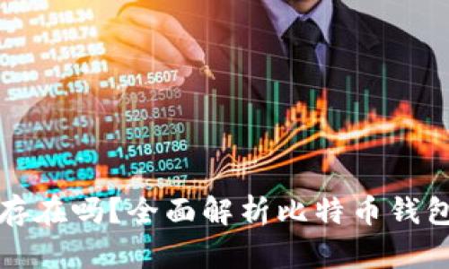 比特币钱包真实存在吗？全面解析比特币钱包的类型与安全性