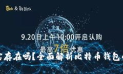 比特币钱包真实存在吗？全面解析比特币钱包的