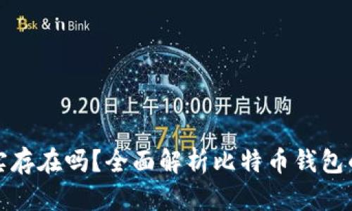 比特币钱包真实存在吗？全面解析比特币钱包的类型与安全性