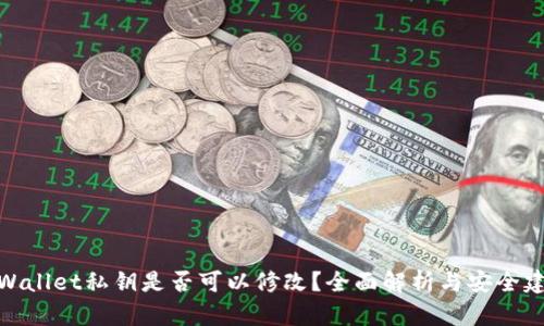 tpWallet私钥是否可以修改？全面解析与安全建议