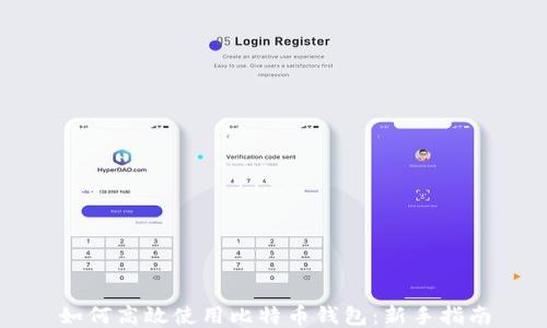 
如何高效使用比特币钱包：新手指南