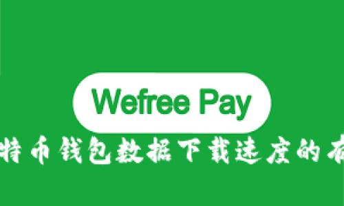 提升比特币钱包数据下载速度的有效方法