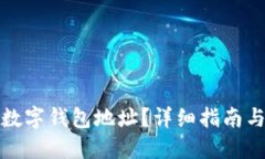 如何查询数字钱包地址？详细指南与实用技巧