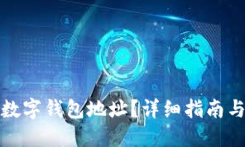 如何查询数字钱包地址？详细指南与实用技巧