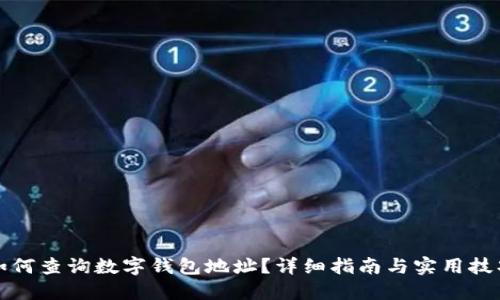 如何查询数字钱包地址？详细指南与实用技巧