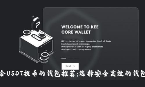 最适合USDT提币的钱包推荐：选择安全高效的钱包方案
