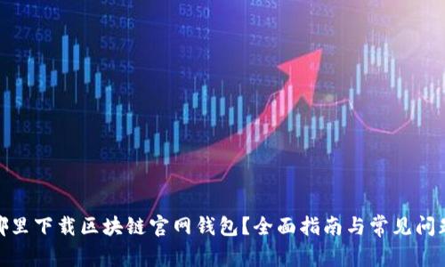 : 在哪里下载区块链官网钱包？全面指南与常见问题解答