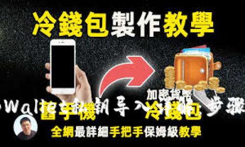 新下载的tpWallet私钥导入详解：步骤与注意事项