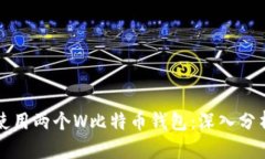 如何选择与使用两个W比特币钱包：深入分析与全