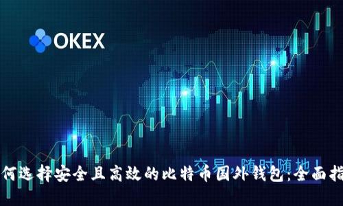 如何选择安全且高效的比特币国外钱包：全面指南