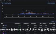 tpWallet安全性分析：用户关心的安全问题解读