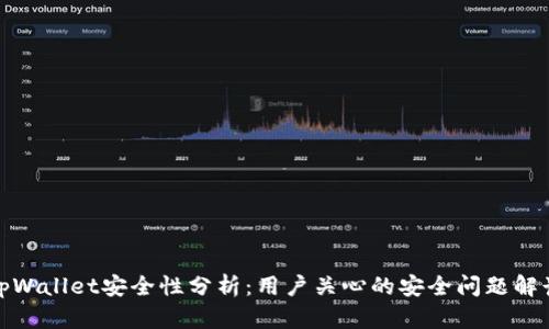 tpWallet安全性分析：用户关心的安全问题解读