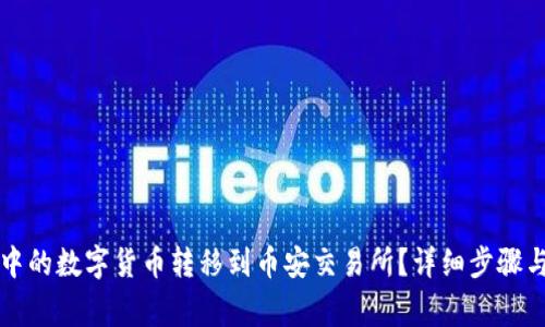 如何将TP钱包中的数字货币转移到币安交易所？详细步骤与常见问题解答