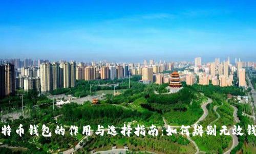 比特币钱包的作用与选择指南：如何辨别无效钱包
