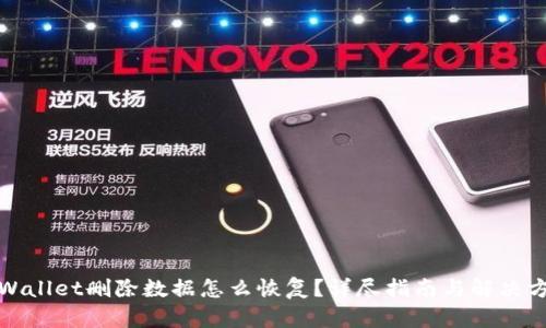 tpWallet删除数据怎么恢复？详尽指南与解决方案