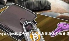 tpWallet玩家亏损13亿的原因及其影响分析