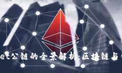 佛撒奇TP Wallet公链的全景解析：区块链与钱包的