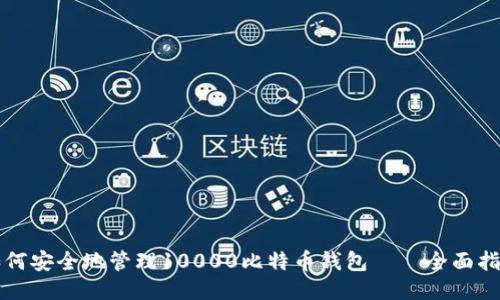如何安全地管理10000比特币钱包——全面指南
