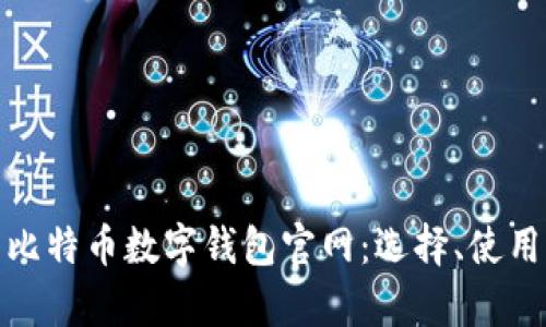 全面解析比特币数字钱包官网：选择、使用与安全性