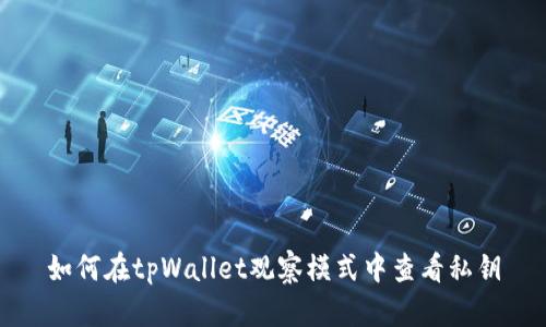 如何在tpWallet观察模式中查看私钥