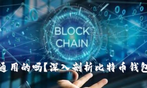 比特币钱包是通用的吗？深入剖析比特币钱包的类型与选择