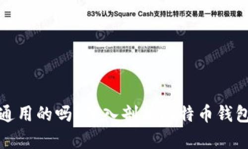 比特币钱包是通用的吗？深入剖析比特币钱包的类型与选择