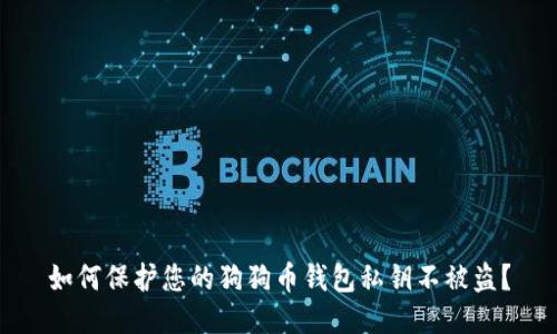 如何保护您的狗狗币钱包私钥不被盗？