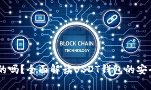 USDT钱包是真的吗？全面解读USDT钱包的安全性与使用体验