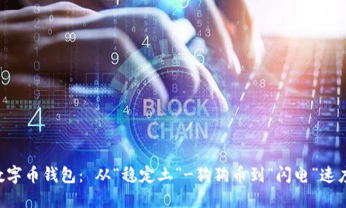 如何选择好用又实惠的数字币钱包： 从“稳定土”-狗狗币到“闪电”速度的隐私币，给你最全指南