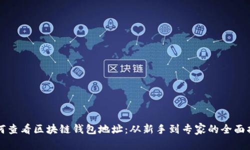 如何查看区块链钱包地址：从新手到专家的全面指南