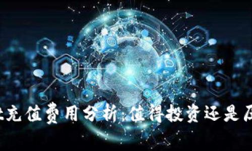 tpWallet充值费用分析：值得投资还是压力山大？