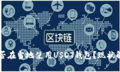 土耳其用户能否在当地使用USDT钱包？现状解析与