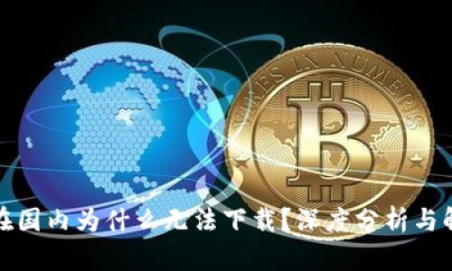 TP钱包在国内为什么无法下载？深度分析与解决方案