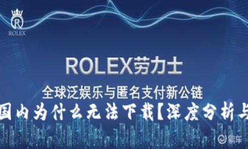 TP钱包在国内为什么无法下载？深度分析与解决方案