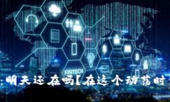 虚拟币钱包平台：明天还在吗？在这个动荡时代