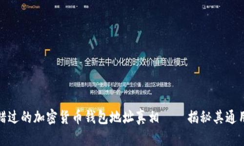 你绝对不能错过的加密货币钱包地址真相——揭秘其通用性与安全性