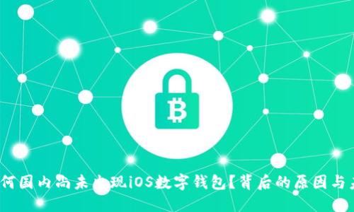 揭秘：为何国内尚未出现iOS数字钱包？背后的原因与未来展望