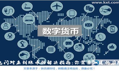 TP钱包闪对未到账币的解决指南：你需要知道的应对方法