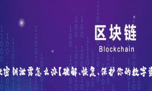 tpWallet密钥泄露怎么办？破解、恢复、保护你的数字资产安全！