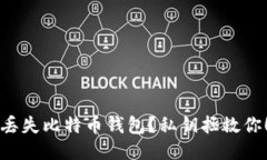 “丢失比特币钱包？私钥