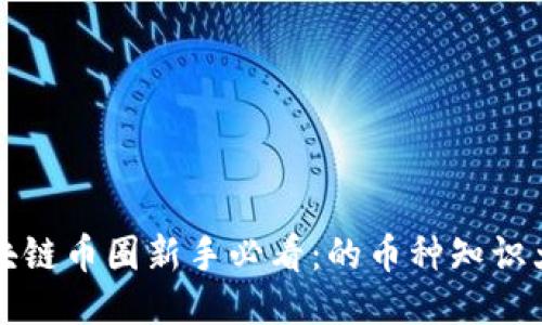 区块链币圈新手必看：的币种知识大全