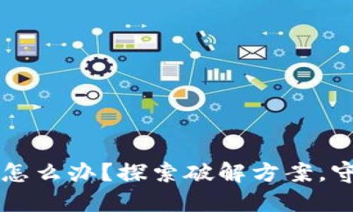 比特派钱包丢币怎么办？探索破解方案，守护你的数字资产