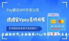 走进区块链时代：全面解析vPay钱包开发的未来之