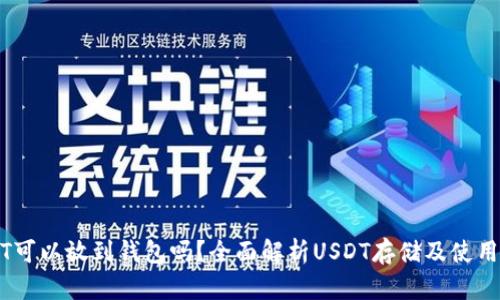 USDT可以放到钱包吗？全面解析USDT存储及使用方法