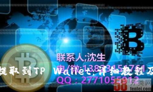 如何将BNB币提取到TP Wallet：详细教程及常见问题解答