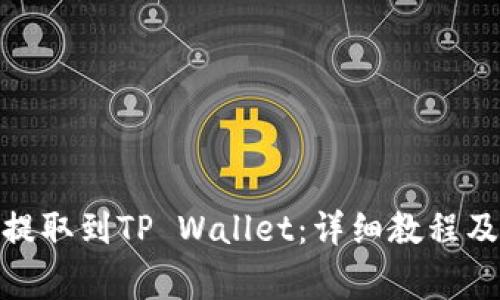 如何将BNB币提取到TP Wallet：详细教程及常见问题解答