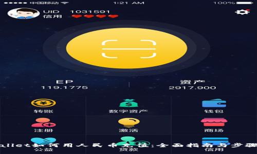 tpWallet如何用人民币充值：全面指南与步骤解析