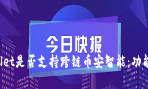 全面解析tpWallet是否支持跨链币安智能：功能、优势与局限性